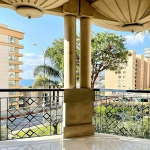 Dotta 6+ rooms apartment for rent - FLORESTAN - Larvotto - Monaco - img008