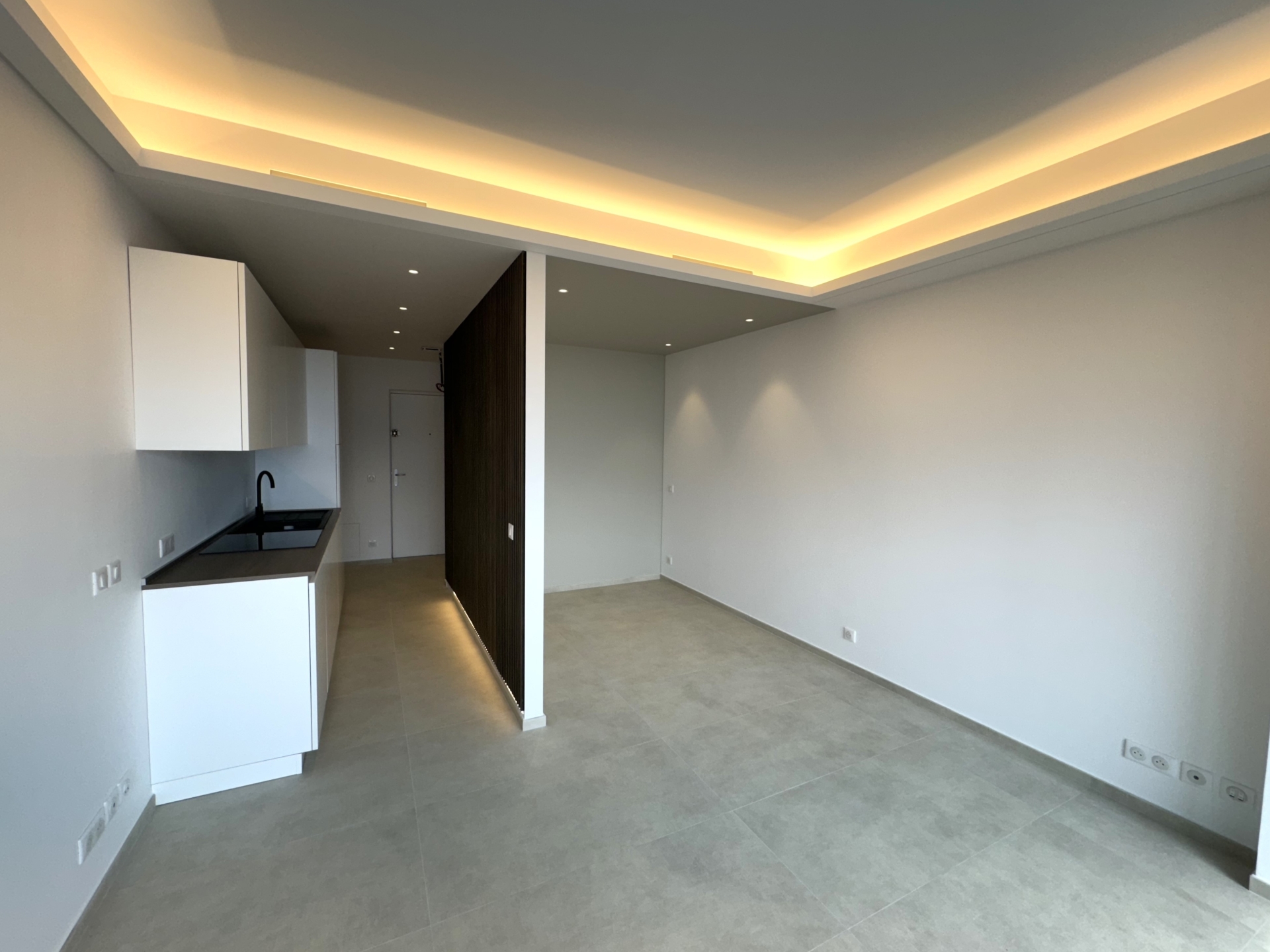 Dotta Studio for rent - MILLEFIORI - Monte-Carlo - Monaco - imgimage00006