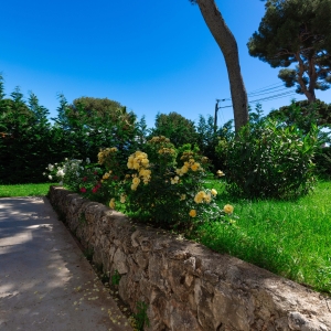Dotta Villa a vendre - VILLA STECYA - Roquebrune-Cap-Martin - Roquebrune-Cap-Martin - img074a5143